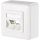 E-DATC6 8/8(8)APrws Anschlussdose AP Cat.6A 2xRJ45 reinweiß