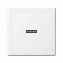 1789 N-914 BUSCH-balance® SI Wippe mit kleiner transparenter Kal
