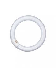 Lumilux-Leuchtstofflampe T9 C L 32W/840 C G10Q