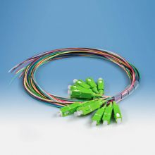 Pigtailsatz 12-fach SC/APC G.657A2 Grade B 2,0 Meter